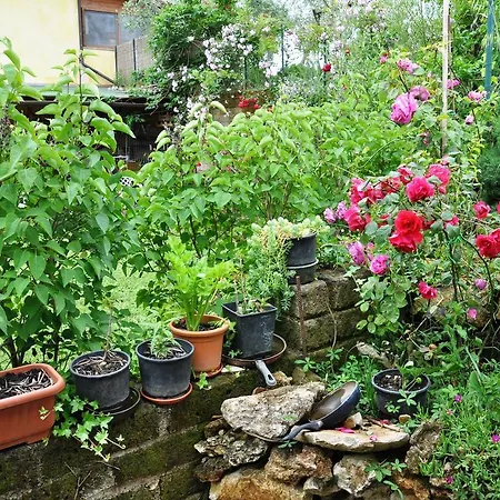 Farm stay Agri E Arte *