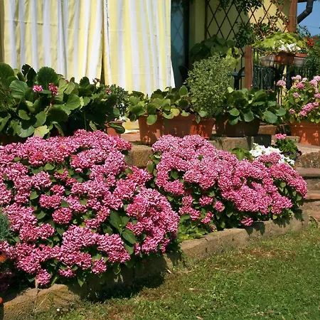 Farm stay Agri E Arte *
