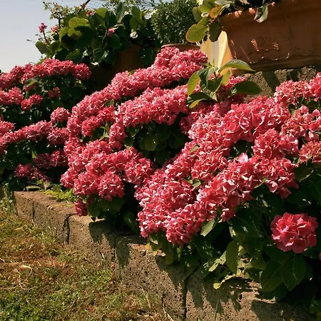 Agri E Arte *