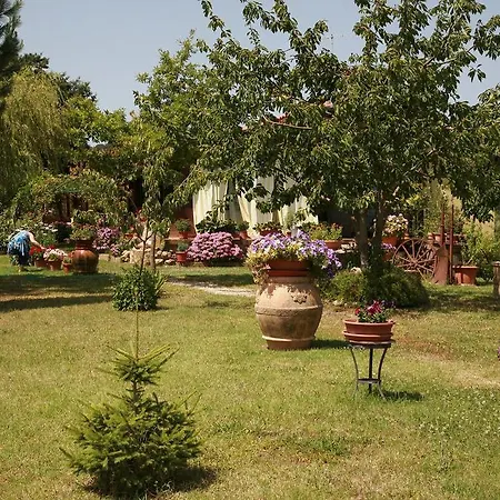 Agri E Arte Manciano